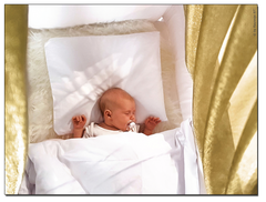 金剛罩嬰兒牀電磁波防護垂幕（連白色櫸木架) Goldkind Pro® Shielding Canopy for Baby Bed (white beechwood stand)